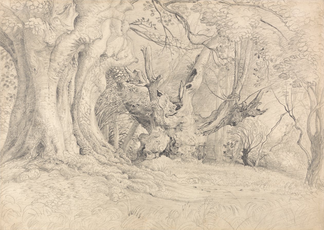 Árvores Antigas, Parque de Lullingstone de Samuel Palmer