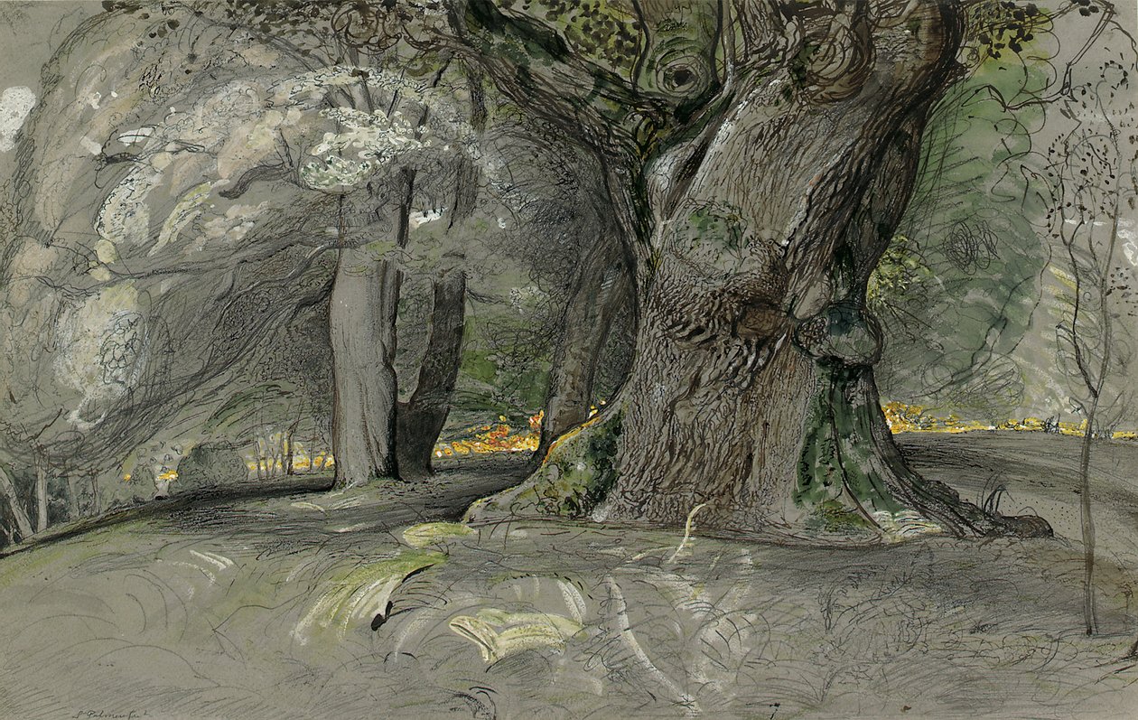 Carvalho e faia, Lullingstone Park de Samuel Palmer