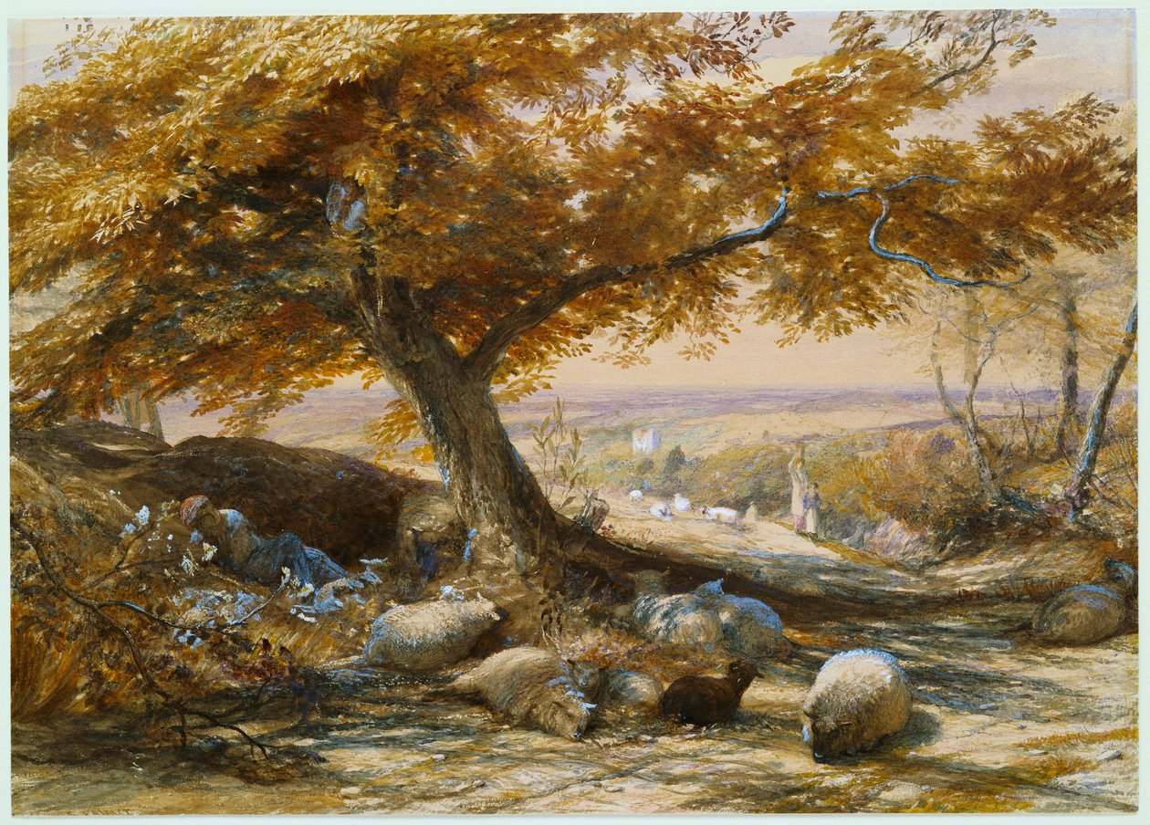 Ovelhas à sombra, c.1851 de Samuel Palmer