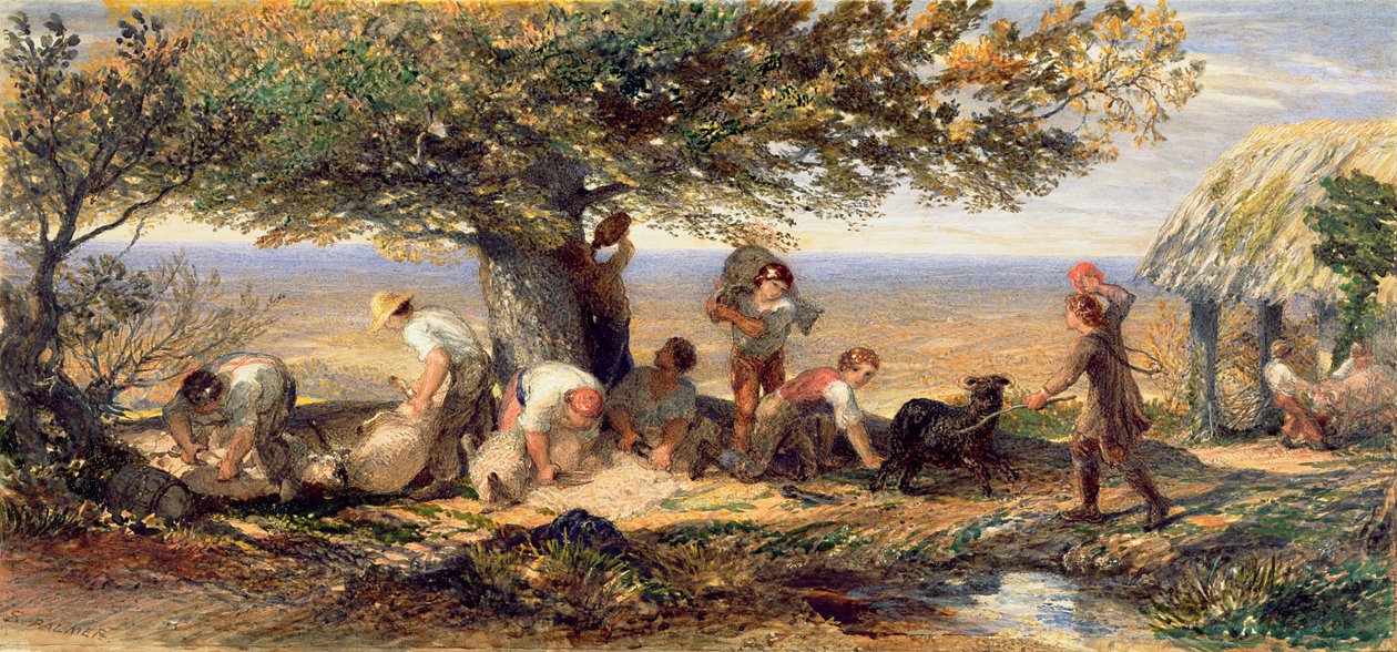 Os tosquiadores de ovelhas, c.1863 (aguarela e cor de corpo sobre traços de lápis sobre papel) de Samuel Palmer