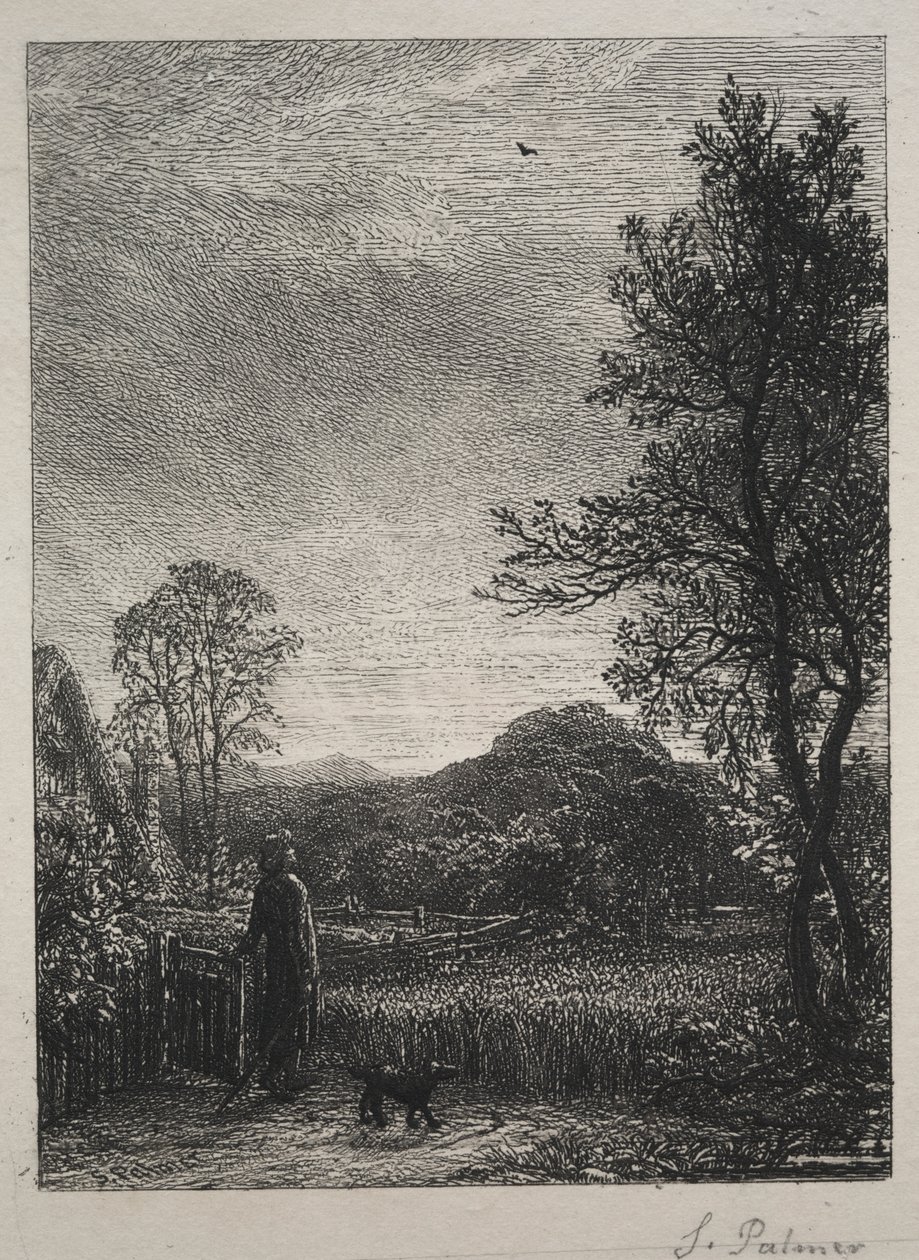 A cotovia de Samuel Palmer