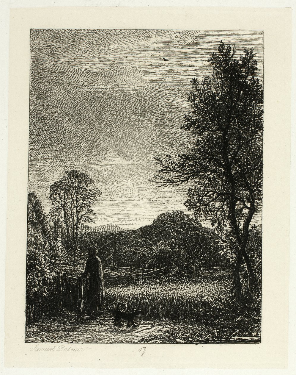 A Cotovia de Samuel Palmer