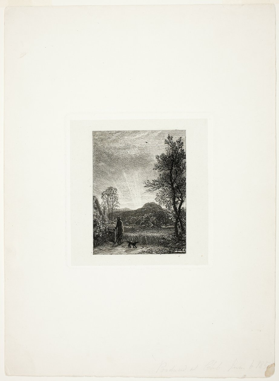 A Cotovia de Samuel Palmer