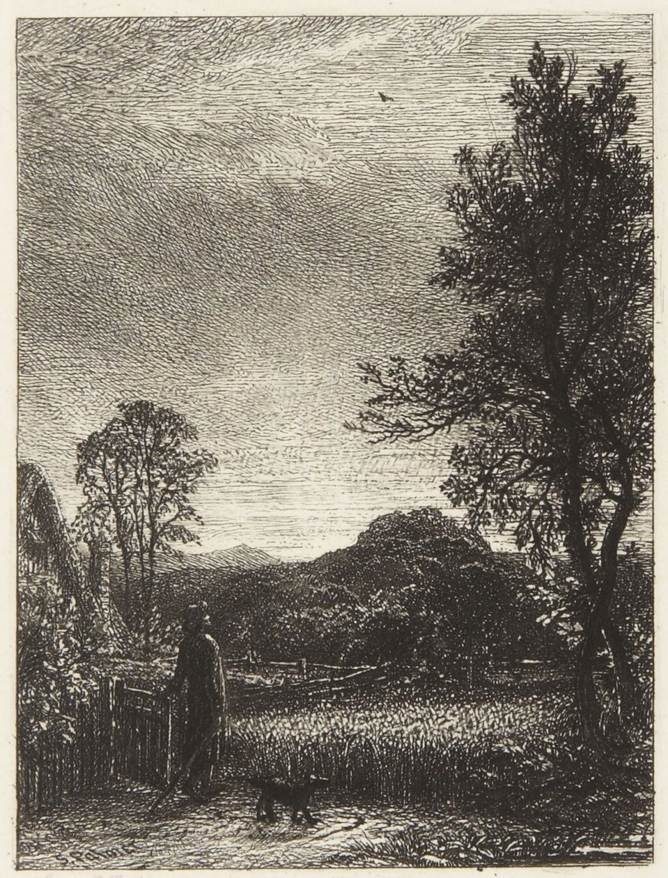 A cotovia de Samuel Palmer