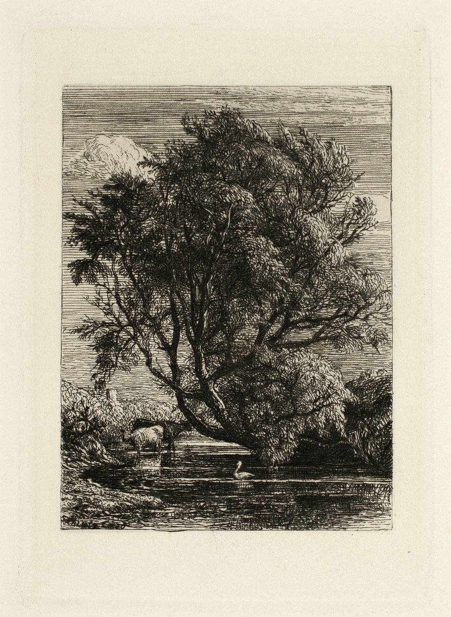 O Salgueiro de Samuel Palmer