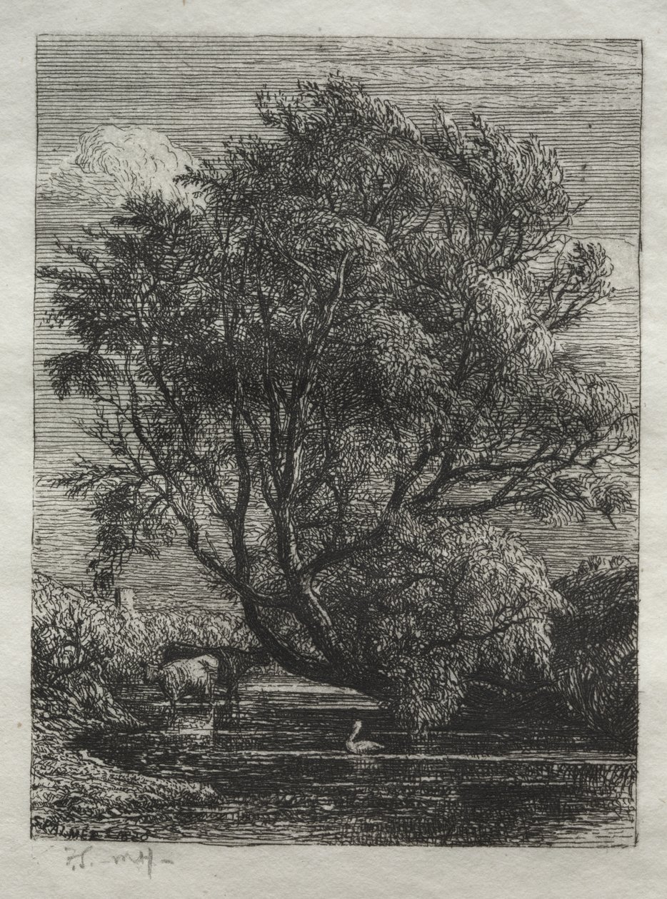 O salgueiro de Samuel Palmer