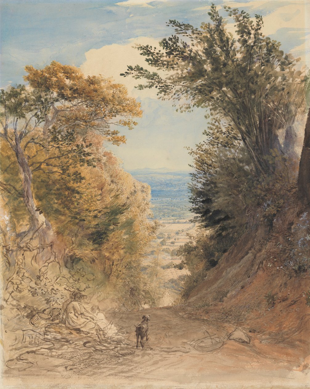 Vista de Rook