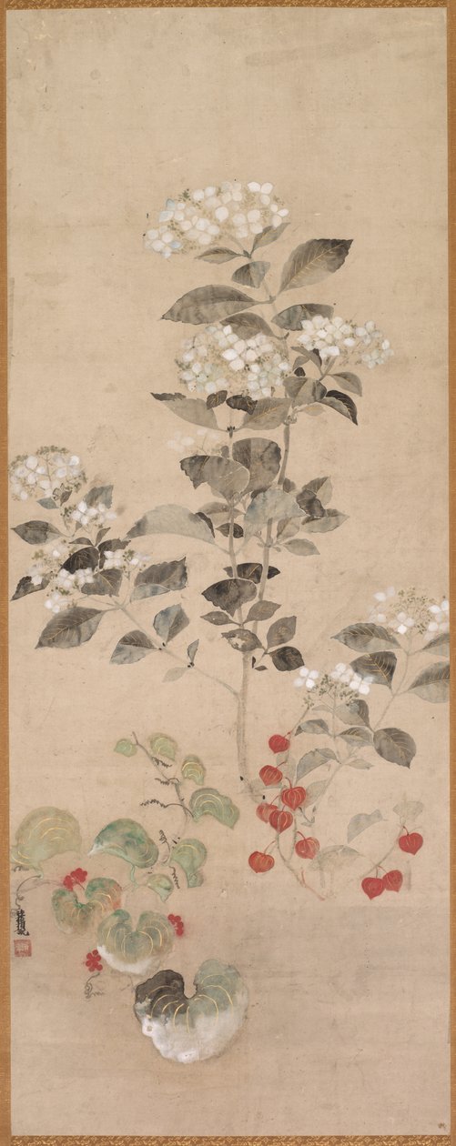 Flores de verão de Samuel Prout