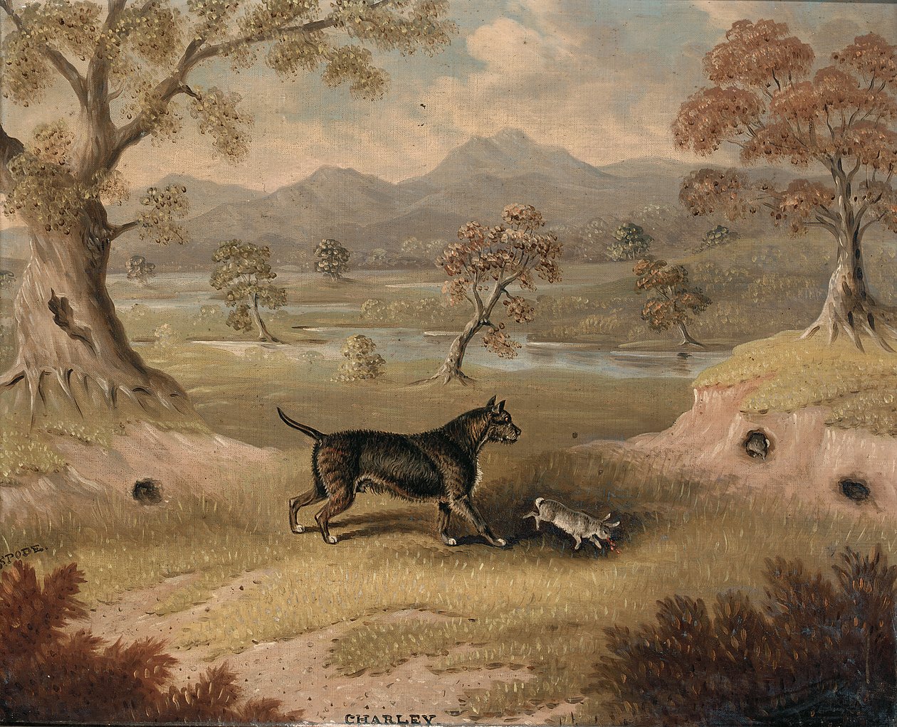 Charley, um Terrier com um coelho de Samuel Spode