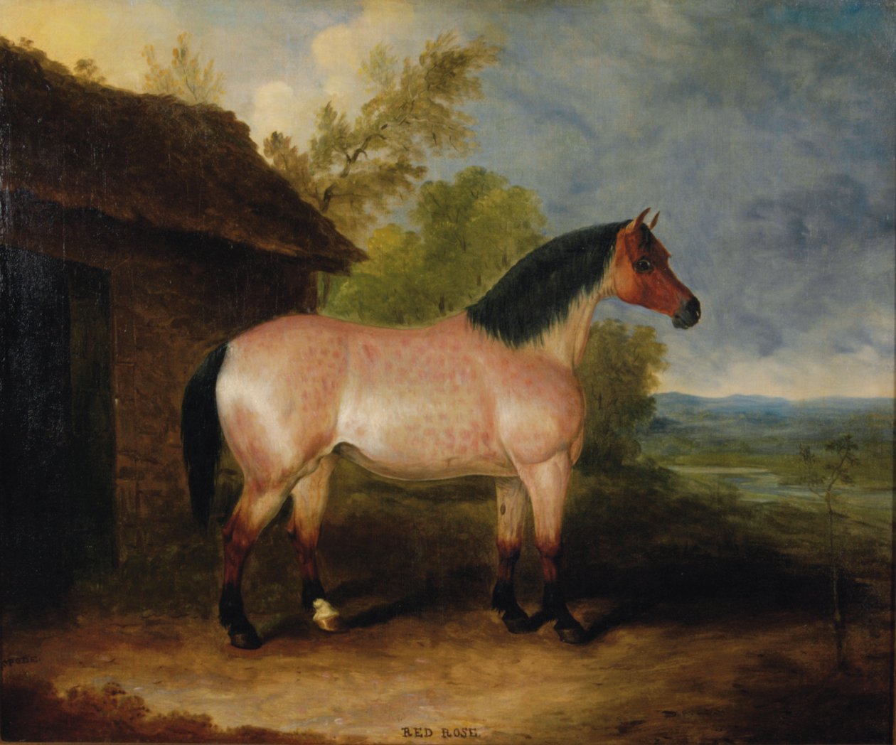Rosa vermelha, antes de um estábulo de Samuel Spode