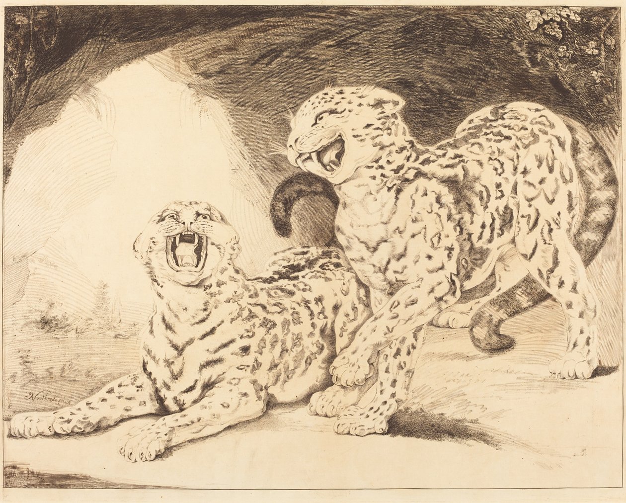 Leopardos de Samuel William Reynolds I after James Northcote