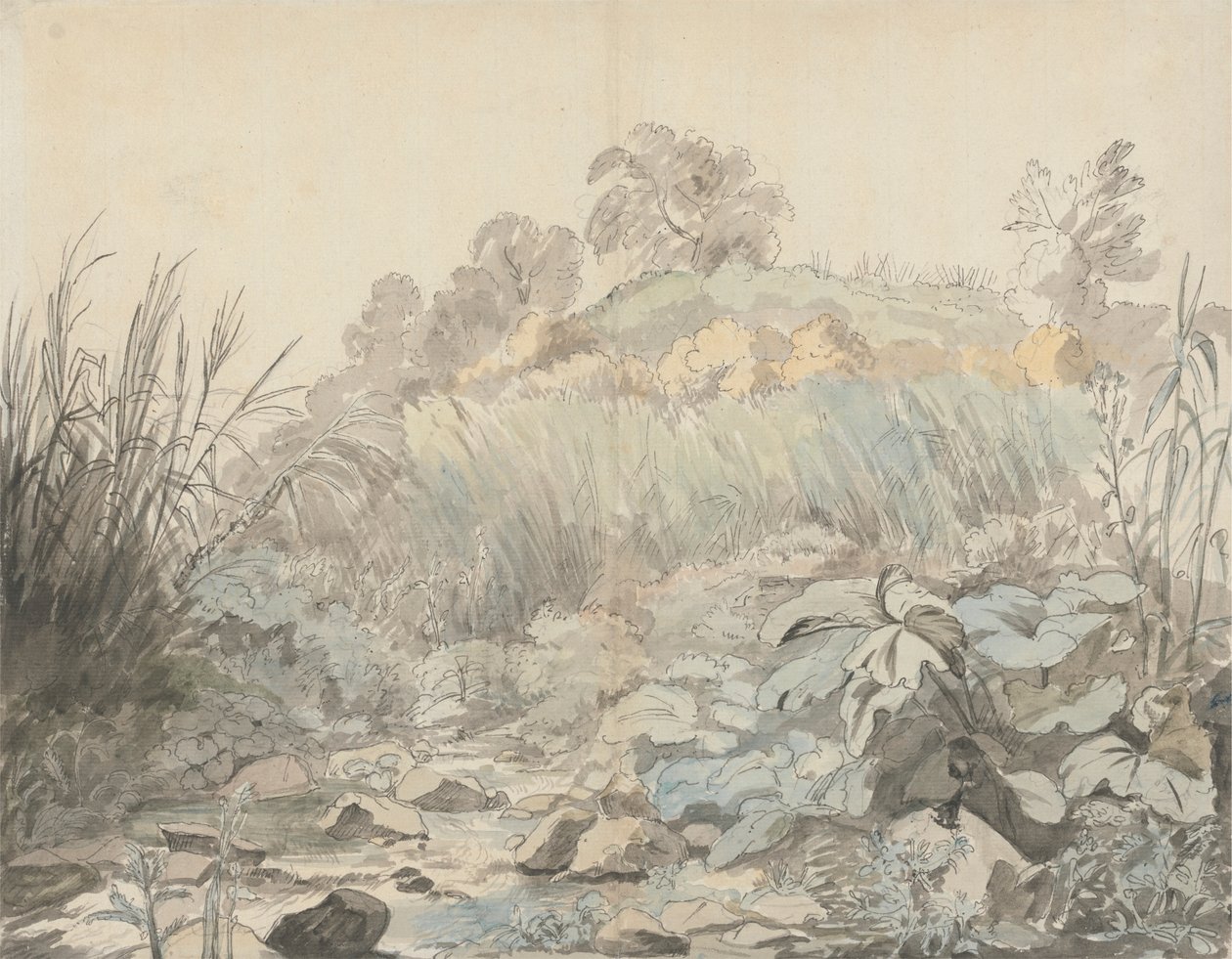 Uma Corrente Rochosa de Samuel Woodforde