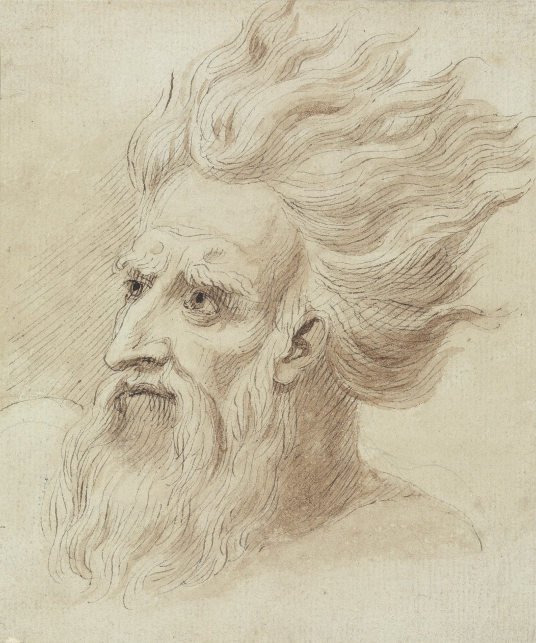 Cabeça de um homem com barba e cabelo comprido ao vento de Samuel de Wilde