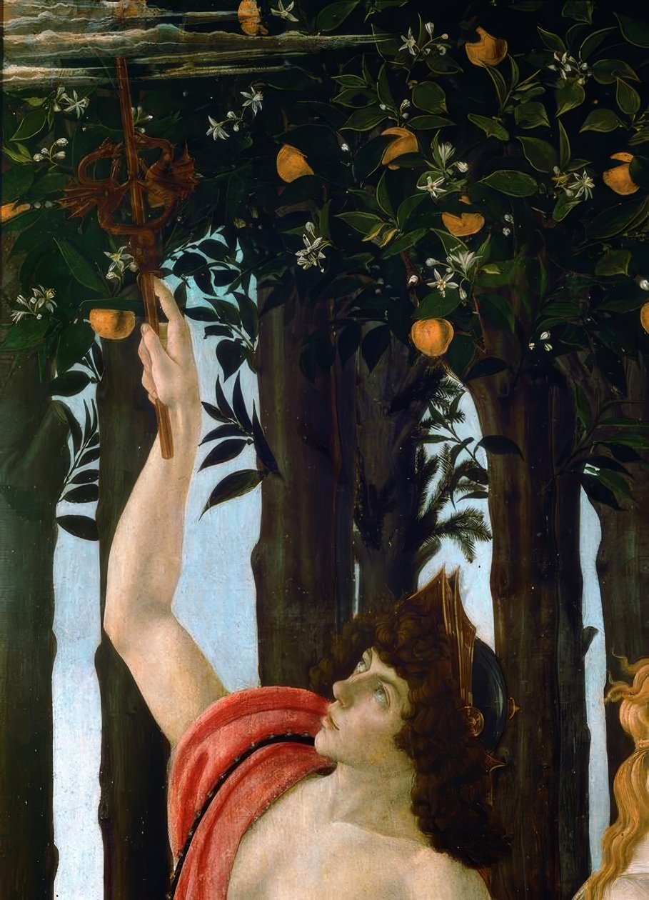 A primavera de Sandro Botticelli
