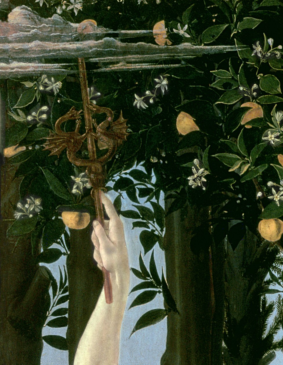 Primavera, c.1478, têmpera no detalhe do painel de 558 de Sandro Botticelli