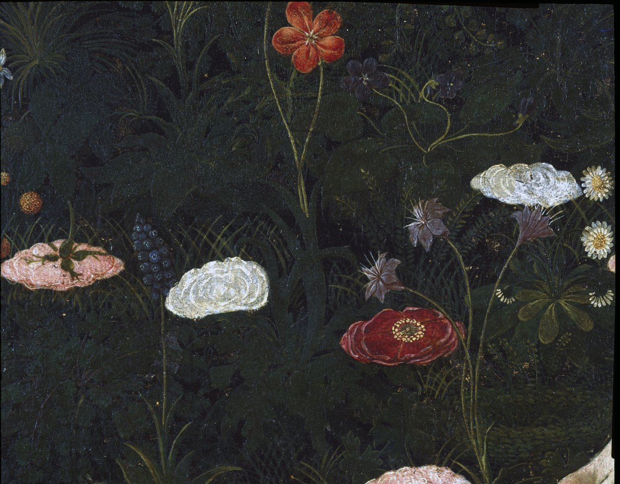 Primavera, c.1478, têmpera no detalhe do painel de 558 de Sandro Botticelli