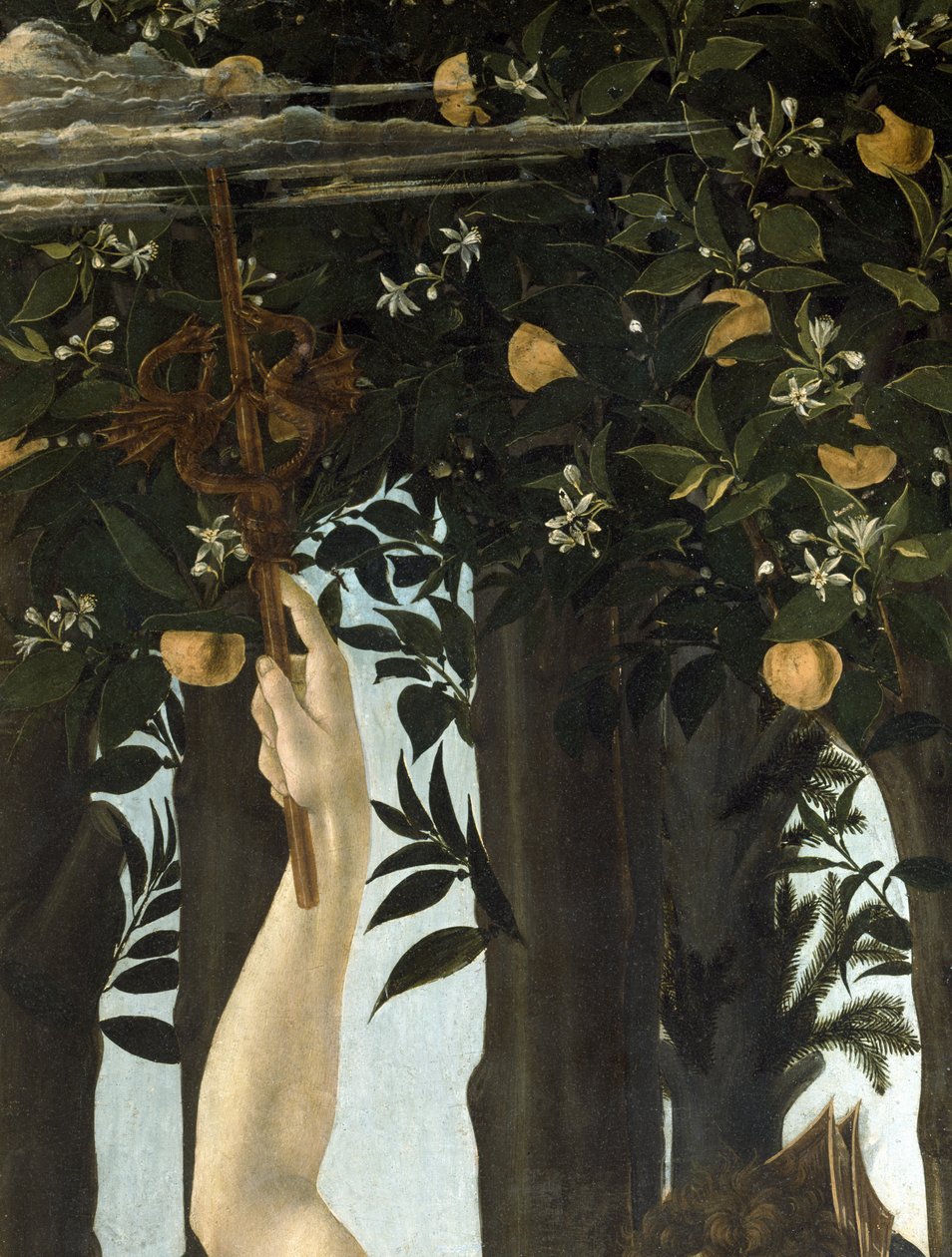 Primavera, c.1478, têmpera no detalhe do painel de 558 de Sandro Botticelli