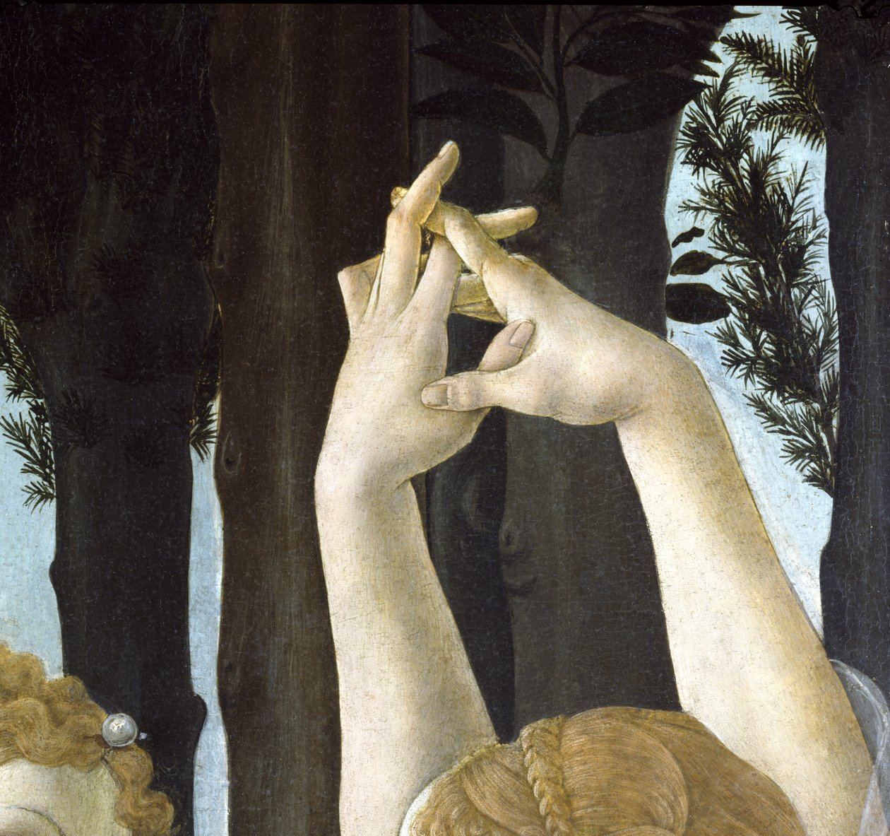 Primavera, c.1478, têmpera no detalhe do painel de 558 de Sandro Botticelli