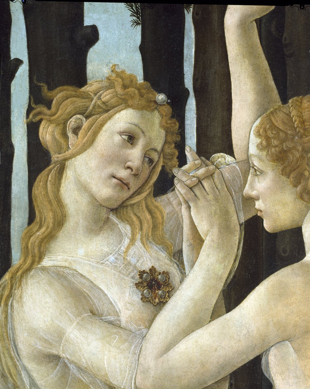 Primavera, c.1478, têmpera no detalhe do painel de 558 de Sandro Botticelli