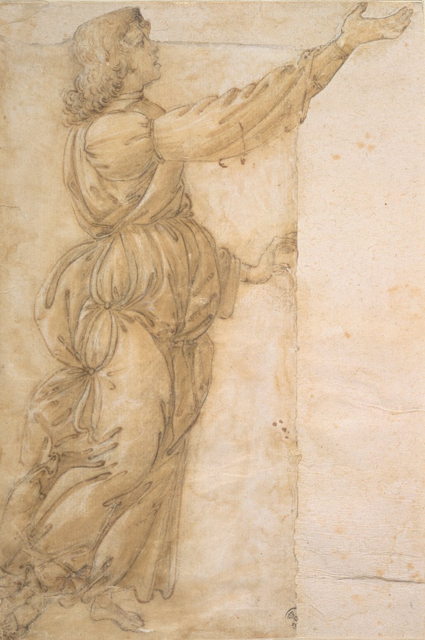 Estudo de um anjo (desenho) de Sandro Botticelli