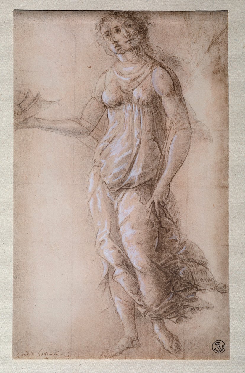 Pallas (Desenho, depois de 1491) de Sandro Botticelli