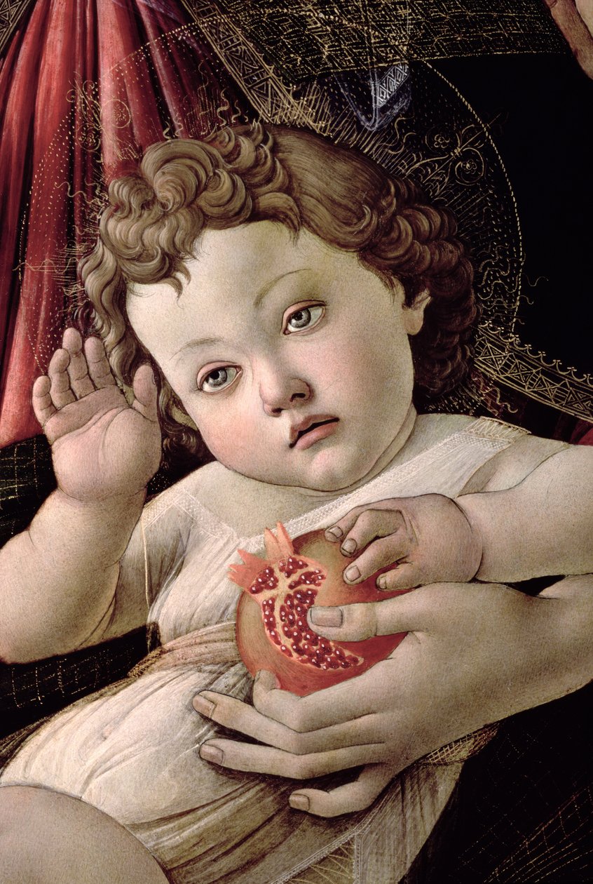 Detalhe do Menino Jesus da Madonna da têmpera de romã no painel ver 44340 de Sandro Botticelli