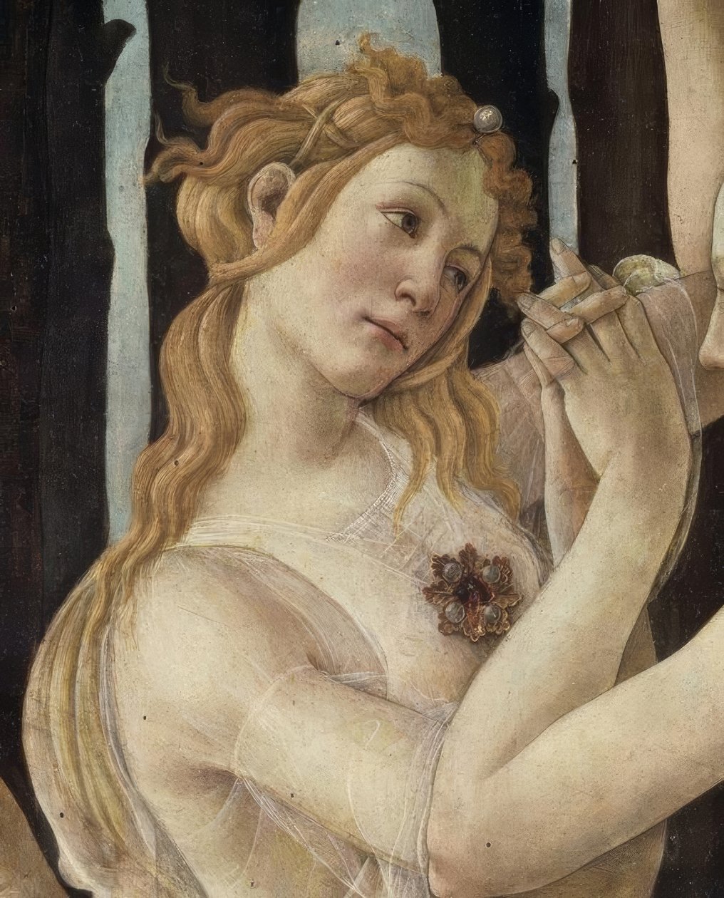 A primavera de Sandro Botticelli