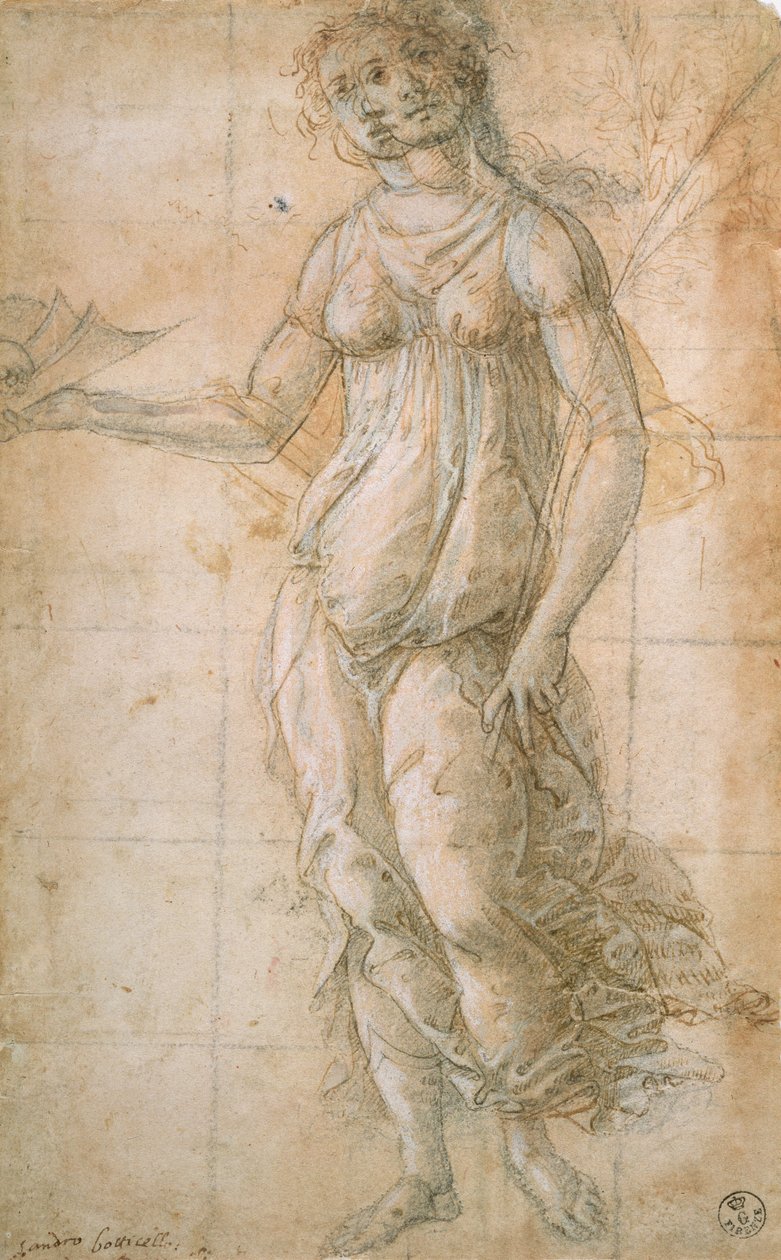 Estudo de Athene (desenho) de Sandro Botticelli