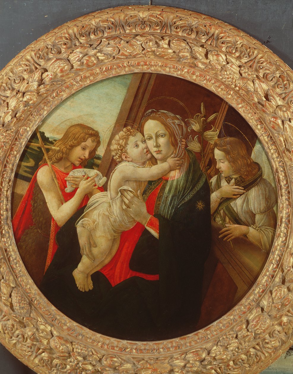 Imagem desconhecida de Sandro Botticelli