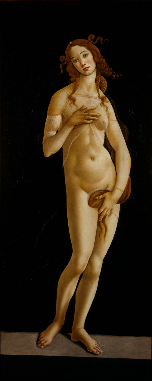 Venus modesto, ca 1485-1490. de Sandro Botticelli