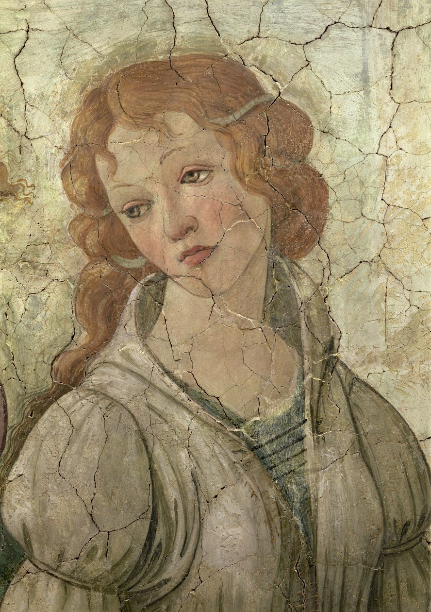 Venus e as três graças que oferecem presentes a uma rapariga, detalhe de um dos detalhes do afresco das graças de 33760 vêem também 93891, 93893-4 de Sandro Botticelli