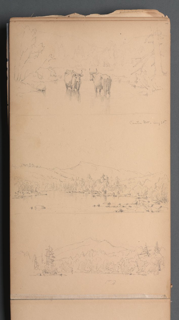 Sketchbook, página 07: "Carter Mt () 28 de agosto" de Sanford Robinson Gifford