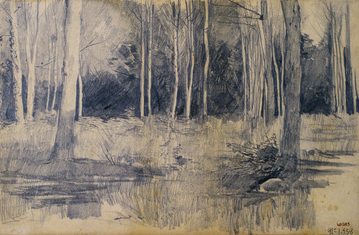 Arvoredo de Santiago Rusiñol