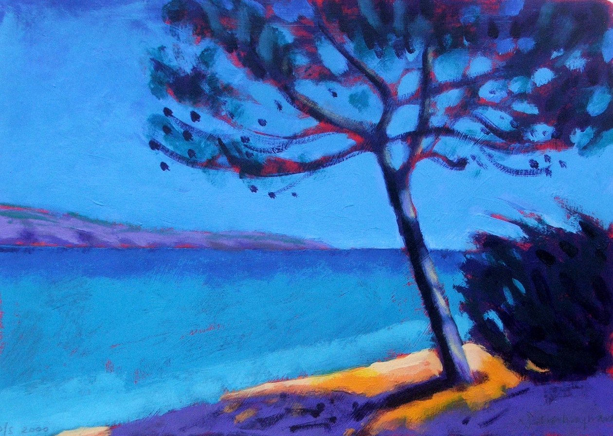 Pinheiros de Sara Hayward
