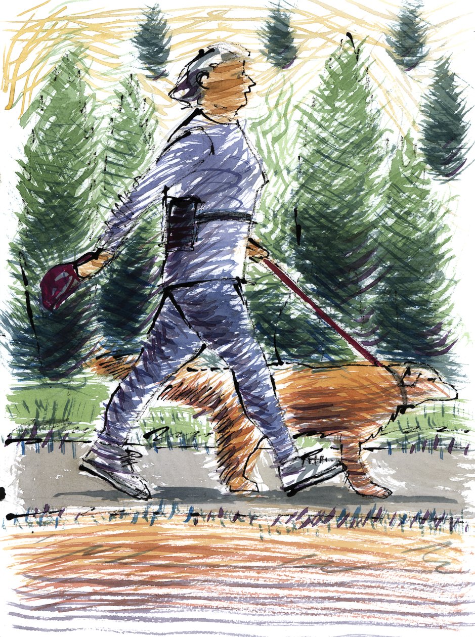 Andando o cão, 2009 (acrílico) de Sara Hayward