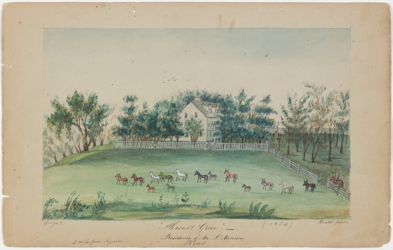 Grove agradável de Sarah Ann Lillie Hardinge