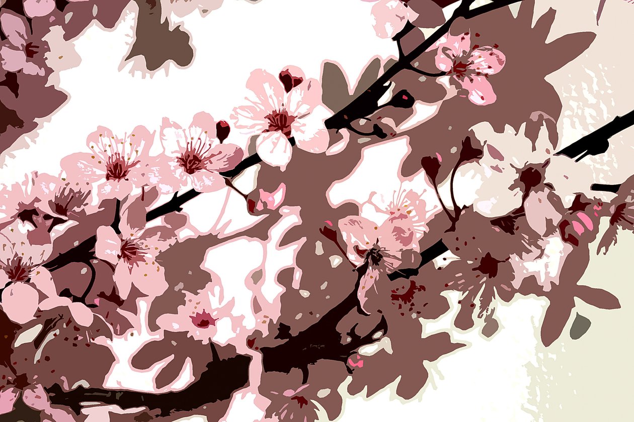 Flor japonesa de Sarah OToole