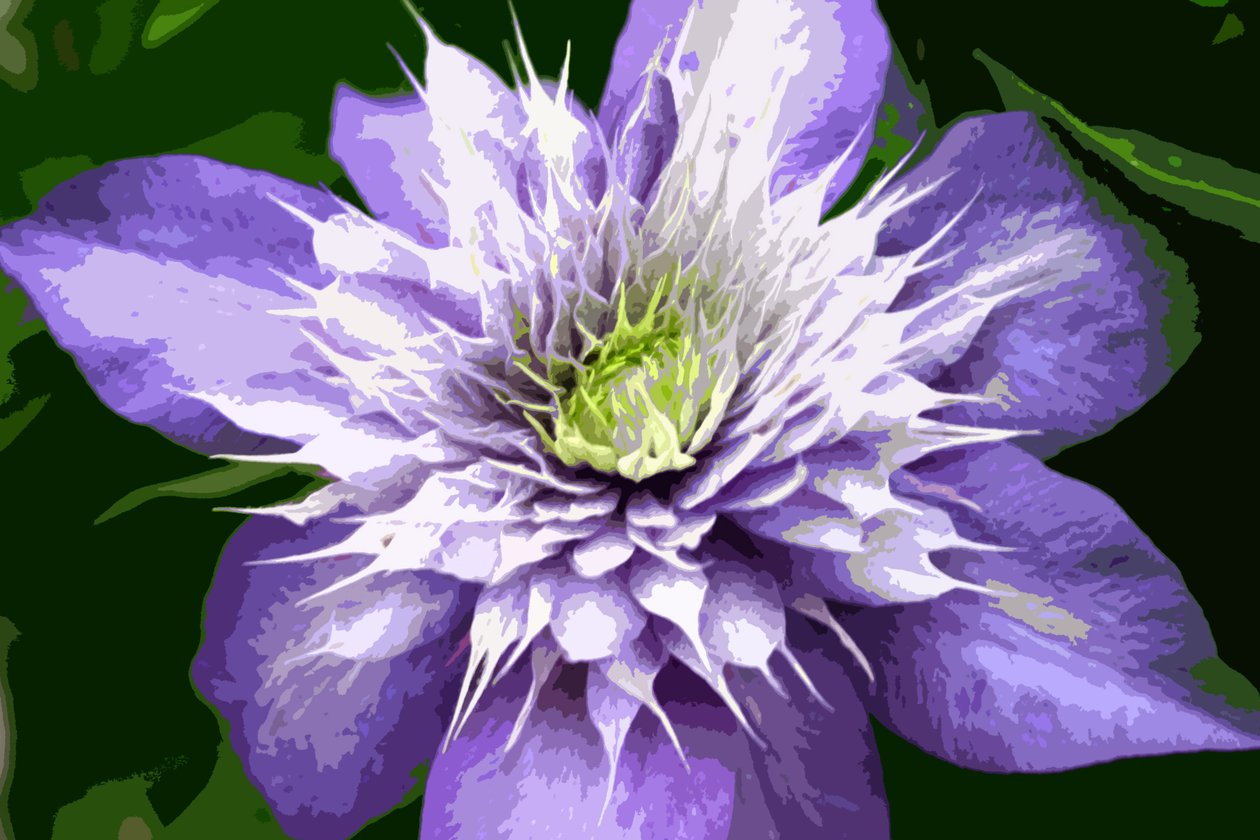 Ocean Bloom de Sarah OToole
