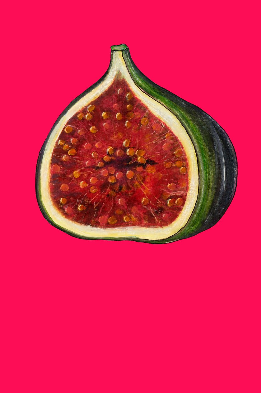 Fig, 2007 (óleo e pastel sobre papel) de Sarah Thompson Engels