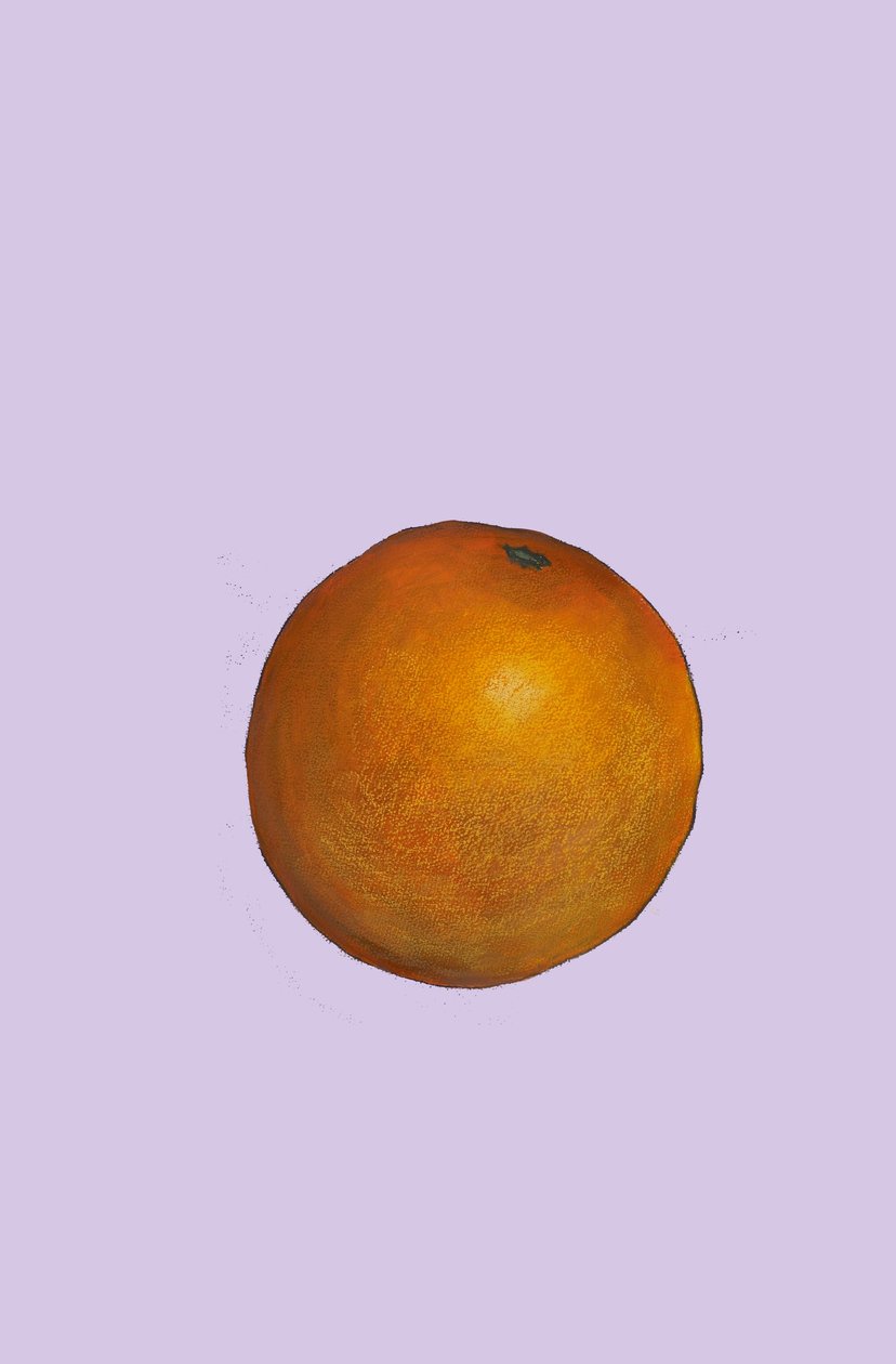 Orange, 2007 (óleo e pastel sobre papel) de Sarah Thompson Engels