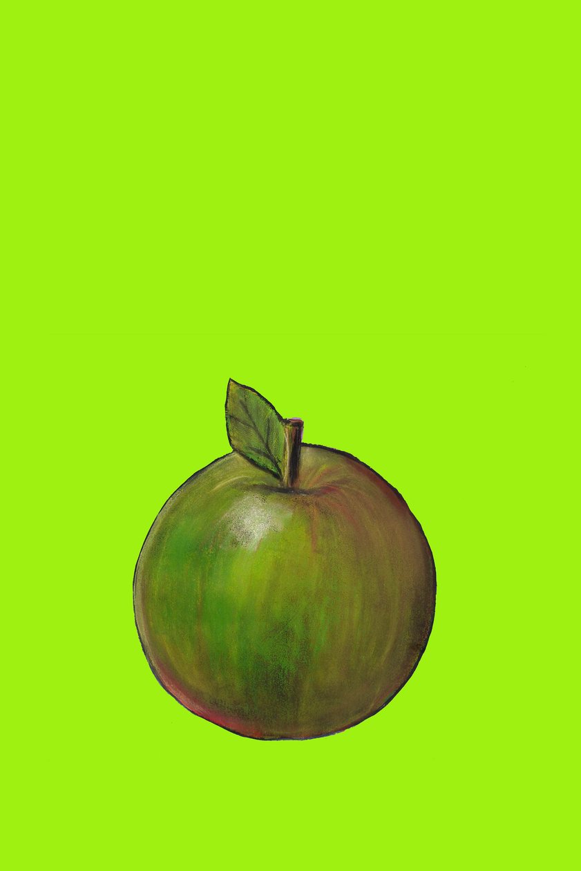 Apple, 2007 (óleo e pastel sobre papel) de Sarah Thompson Engels