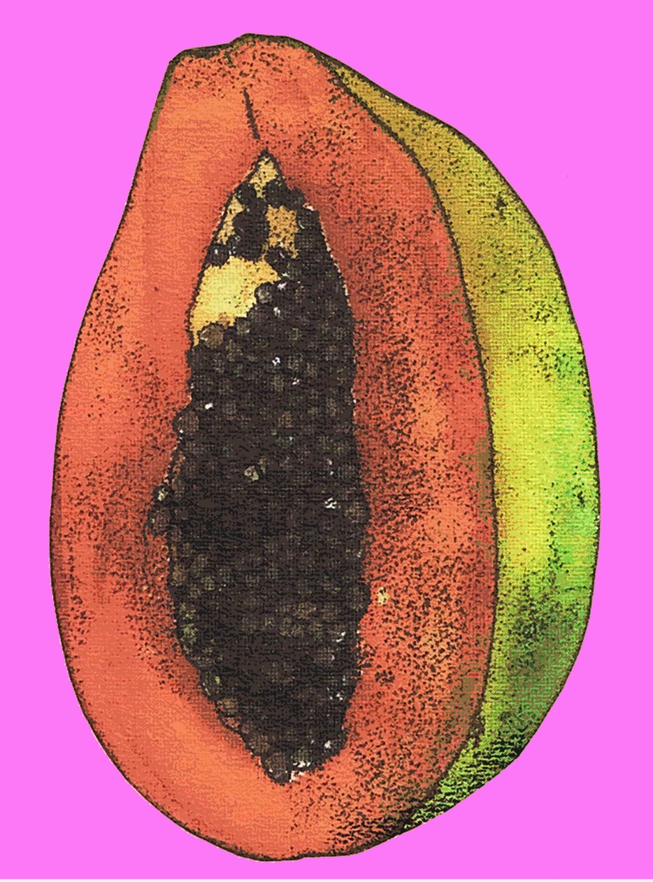 Mamão, 2009 (óleo e tinta no papel) de Sarah Thompson Engels