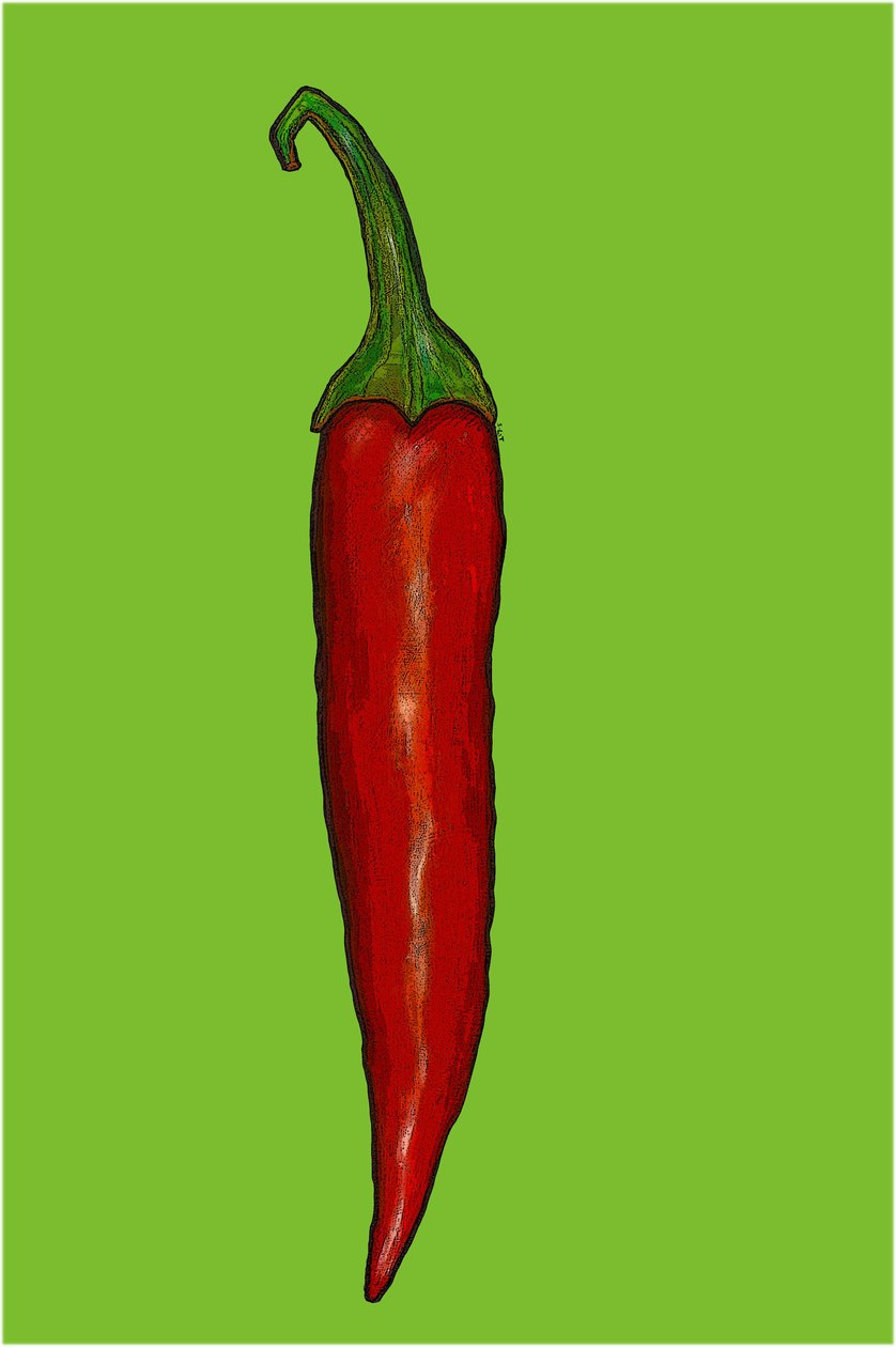 Pimenta vermelha ardida de Sarah Thompson Engels