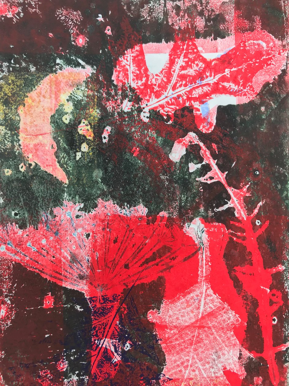 Lua vermelha (monoprint no papel) de Sarah Thompson Engels