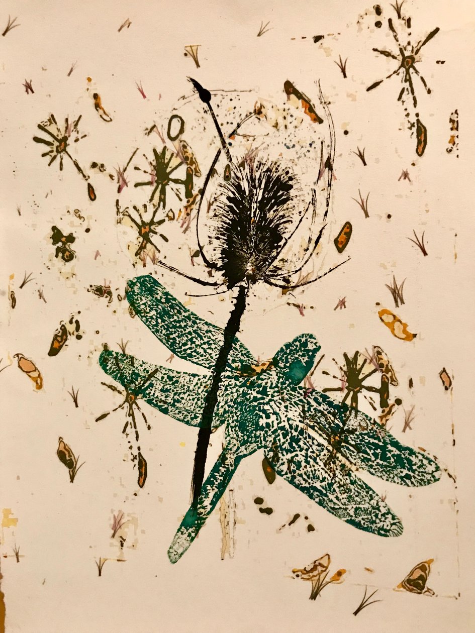 Teasel (monoprint no papel) de Sarah Thompson Engels