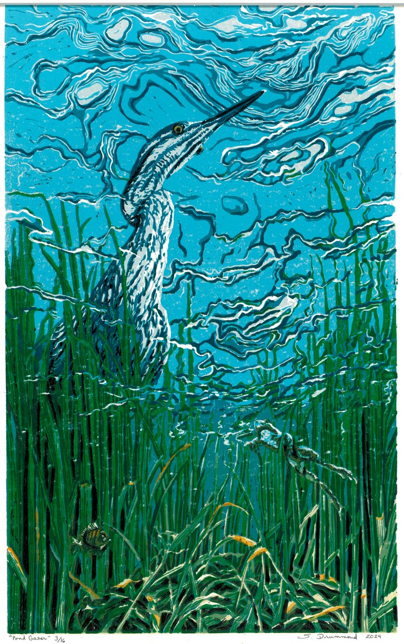 Observador de lagoas, 2024 (xilogravura) de Sarah Drummond