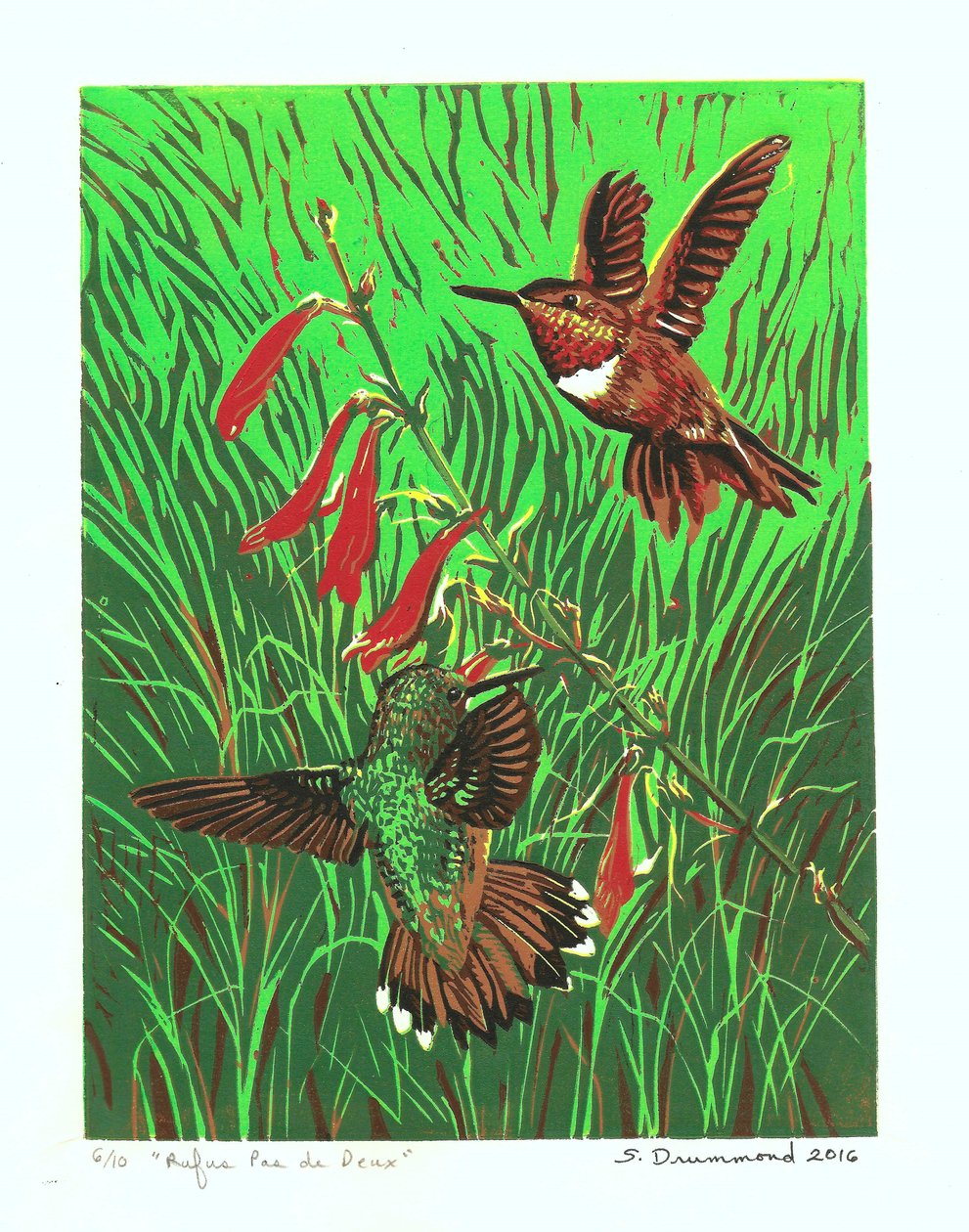 Rufus Pas de Deux, 2016 (xilogravura) de Sarah Drummond