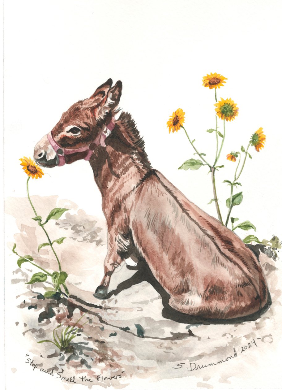 Stop and Smell the Flowers, 2024 (aguarela sobre papel) de Sarah Drummond