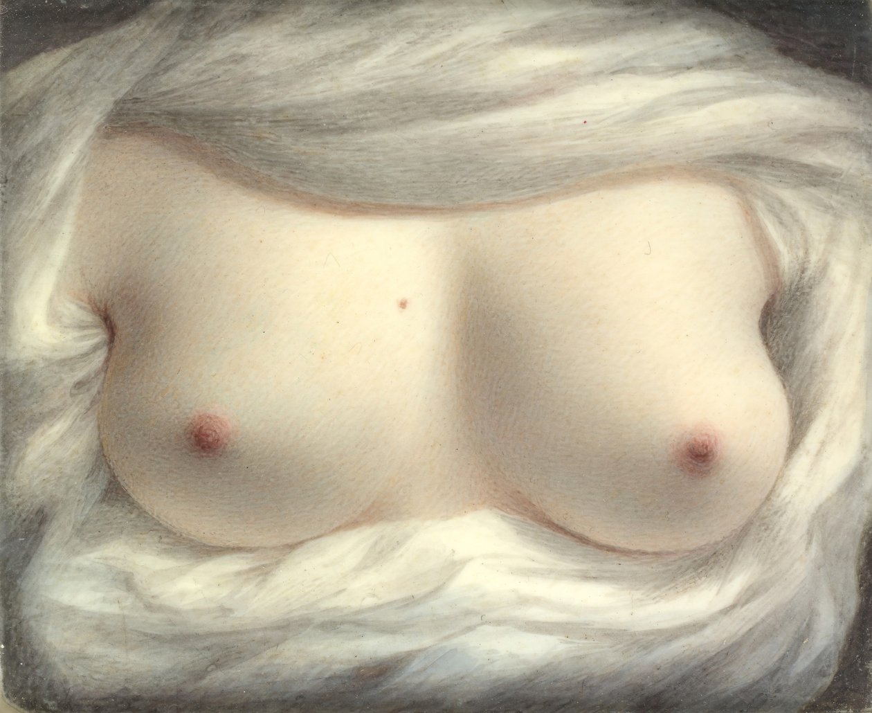 Beleza Revelada, 1828. de Sarah Goodridge
