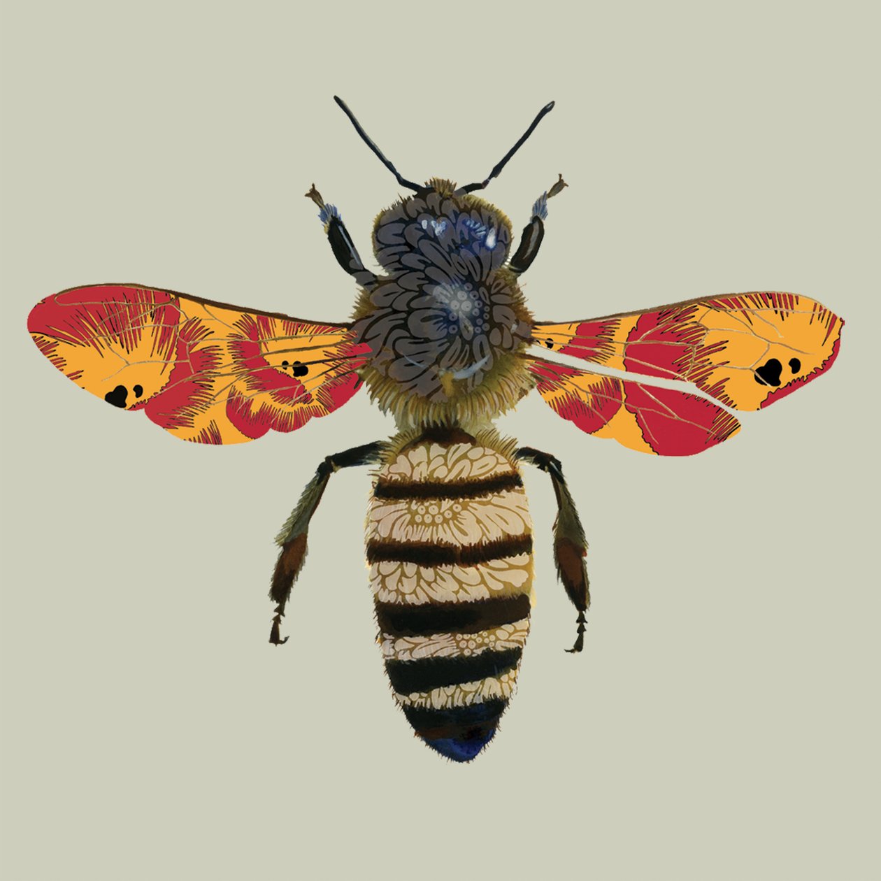 Honey Bee, 2010 (digital) de Sarah Hough